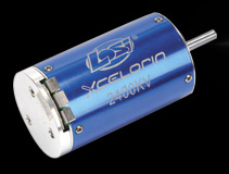 LOSB9423 - 1:8 Xcelorin Brushless Motor, 2400Kv