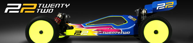 LOSB0122 - 22 - 1:10 2WD Buggy RTR