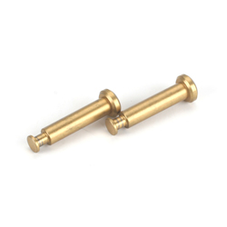 Losi LOSA6501 - Hinge Pins 4 x 21mm Ti Nitride (8B, 8T, 8E)