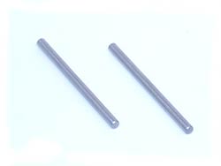 LOSA2161 - Rear Inner Hinge Pins (XX, XXT)