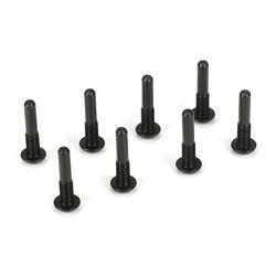 TLR1067 - King Pin Screw (22)