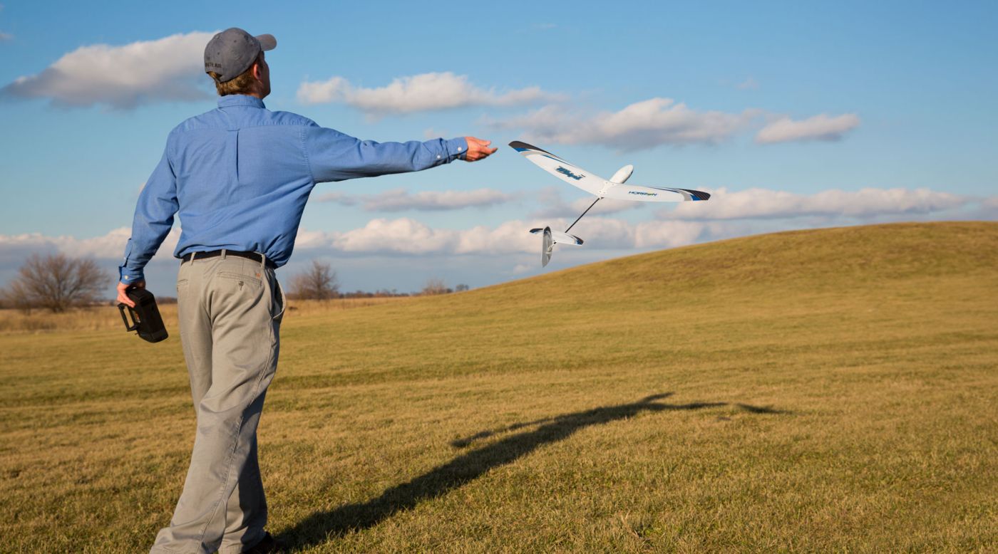 E-Flite EFLU3150 - UMX™ Whipit™ DLG BNF Basic